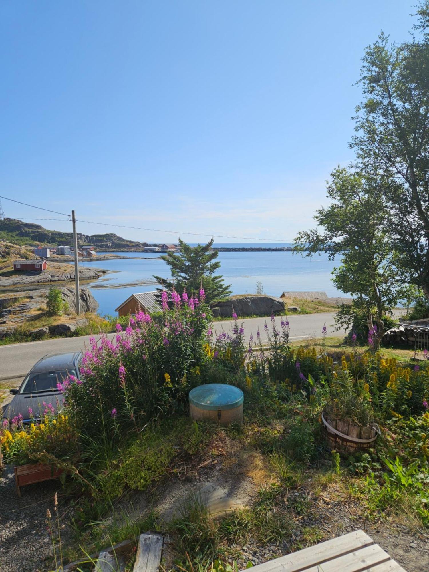 Moskenes Vacation Homes Dış mekan fotoğraf