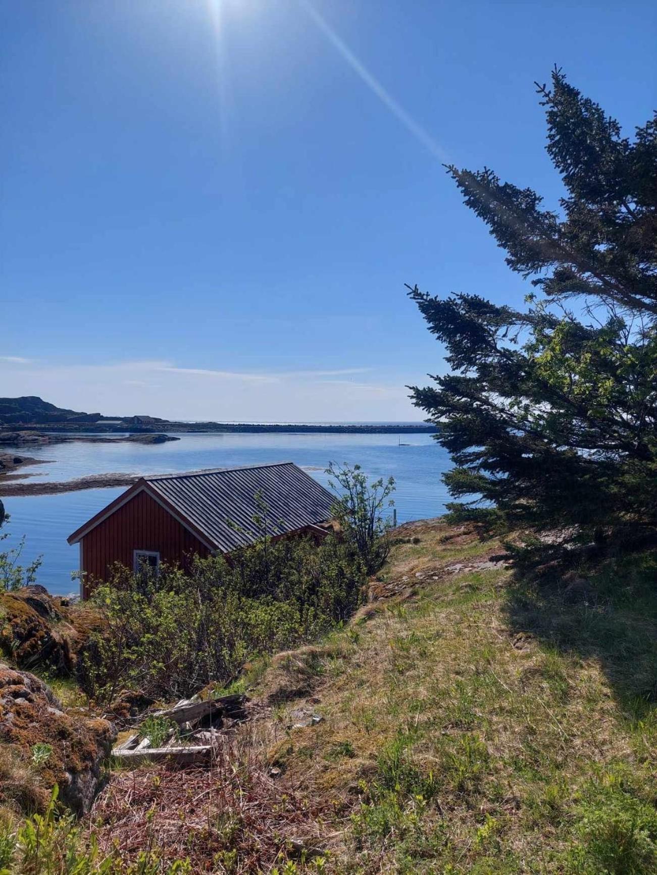 Moskenes Vacation Homes Dış mekan fotoğraf